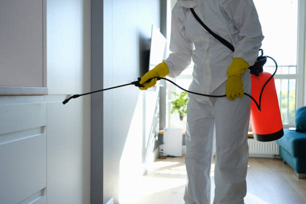 Best Crawl Space Mold Removal  in Dillon, CO